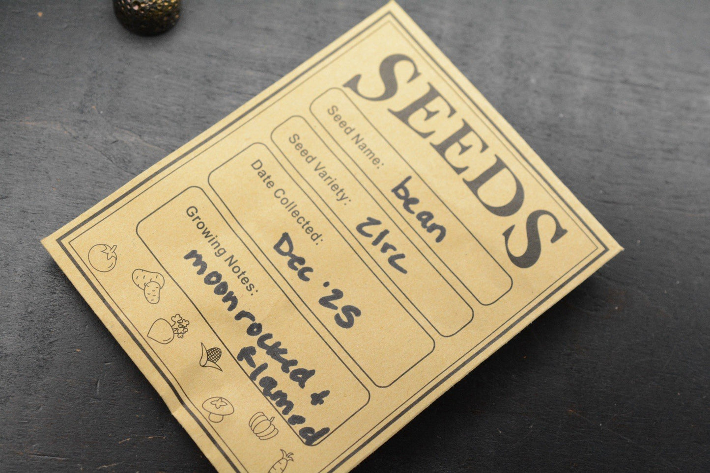 NEW Salt & Peppa Bean Zirc Bead - Moonrocked & Flamed Finish - Seeds Collection