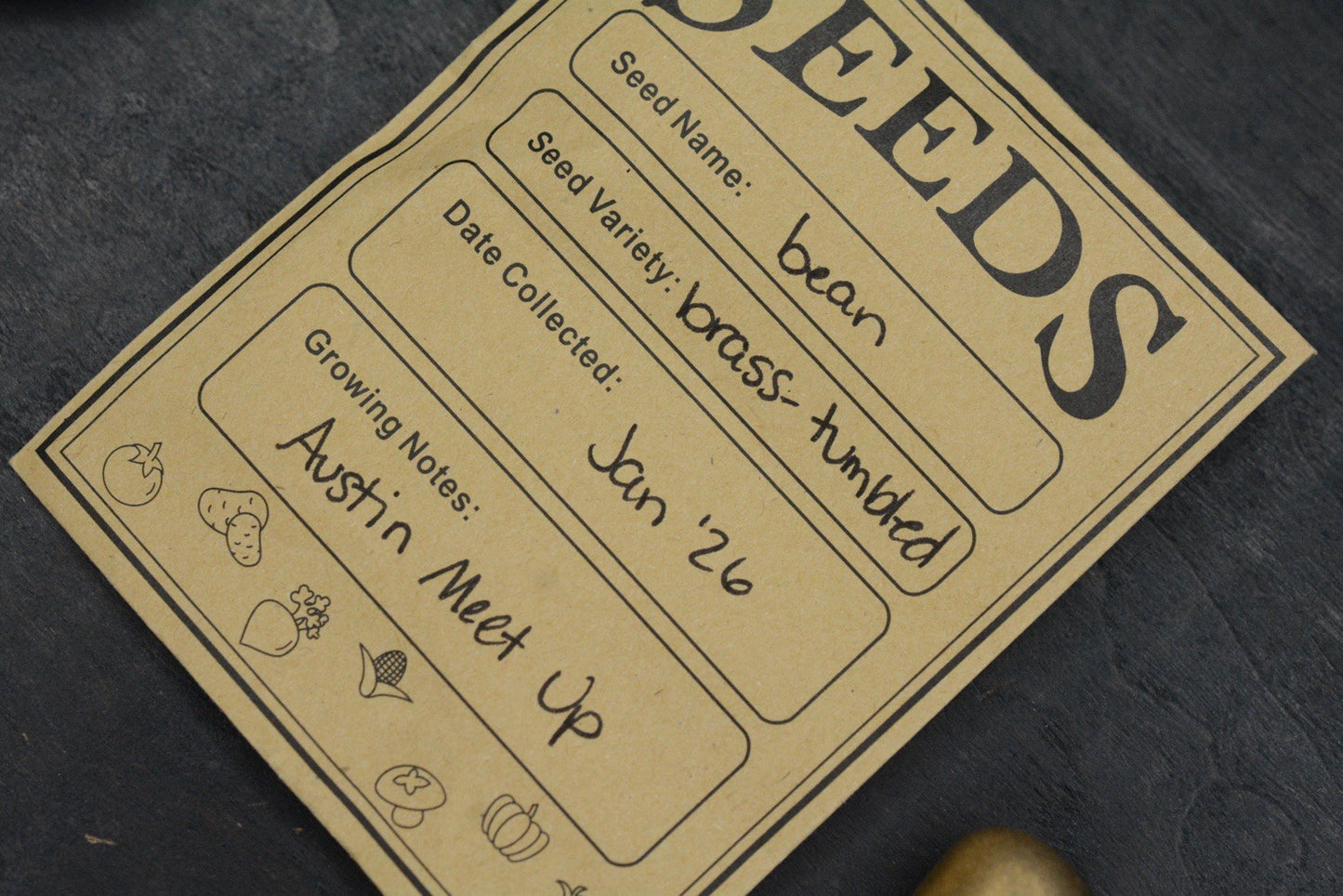 NEW Salt & Peppa Bean Tumbled Brass Bead - Seeds Line - Re Playge Microtech