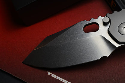 RARE Dalibor Bergam Knives DRACO - Integral Ti / Polished SW S90V w/ Hardware