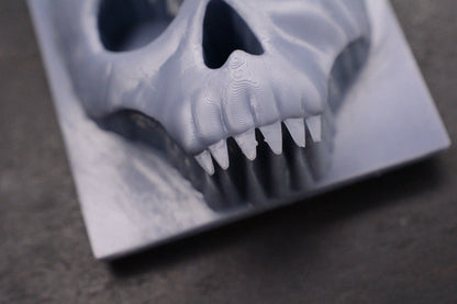 NEW Ed’s Manifesto Sneakreaper 3D Skull Patch Re Data Crew JRW